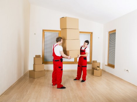 Different removal options and quotation planning